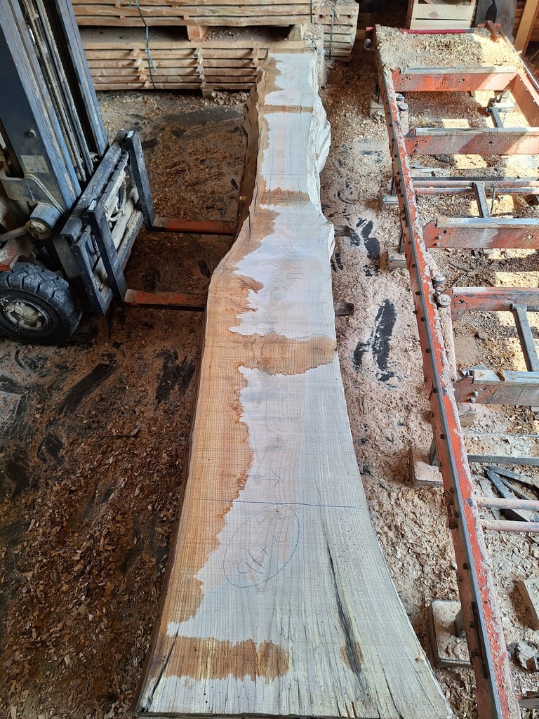 Plateau Frêne 43 x 260-510 x 3450 mm de la boule 977 - 6