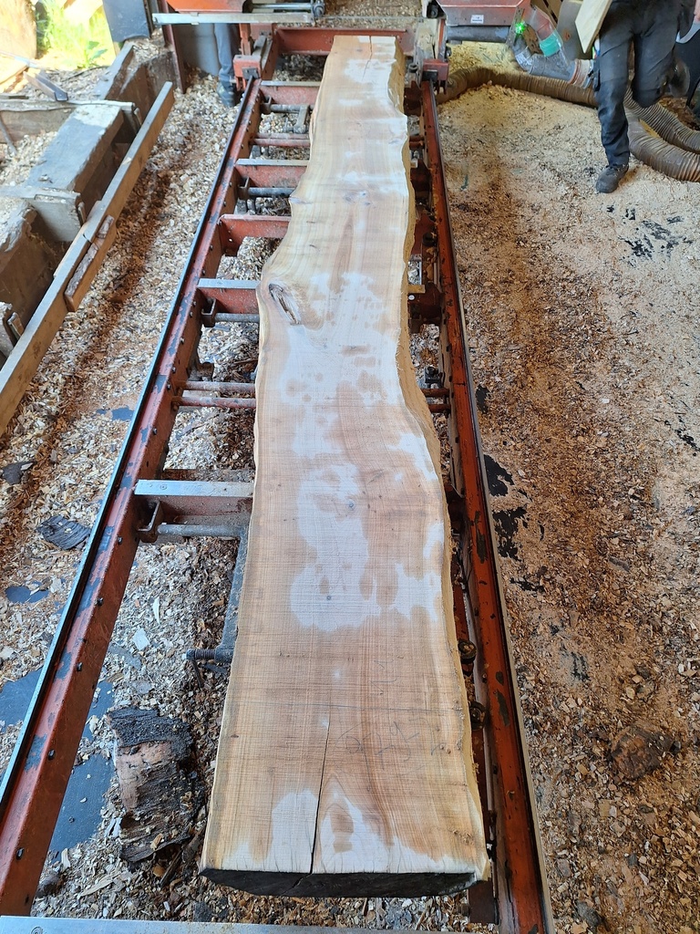 Plateau Merisier 28 x 320-440 x 4050 mm de la boule 979 - 2