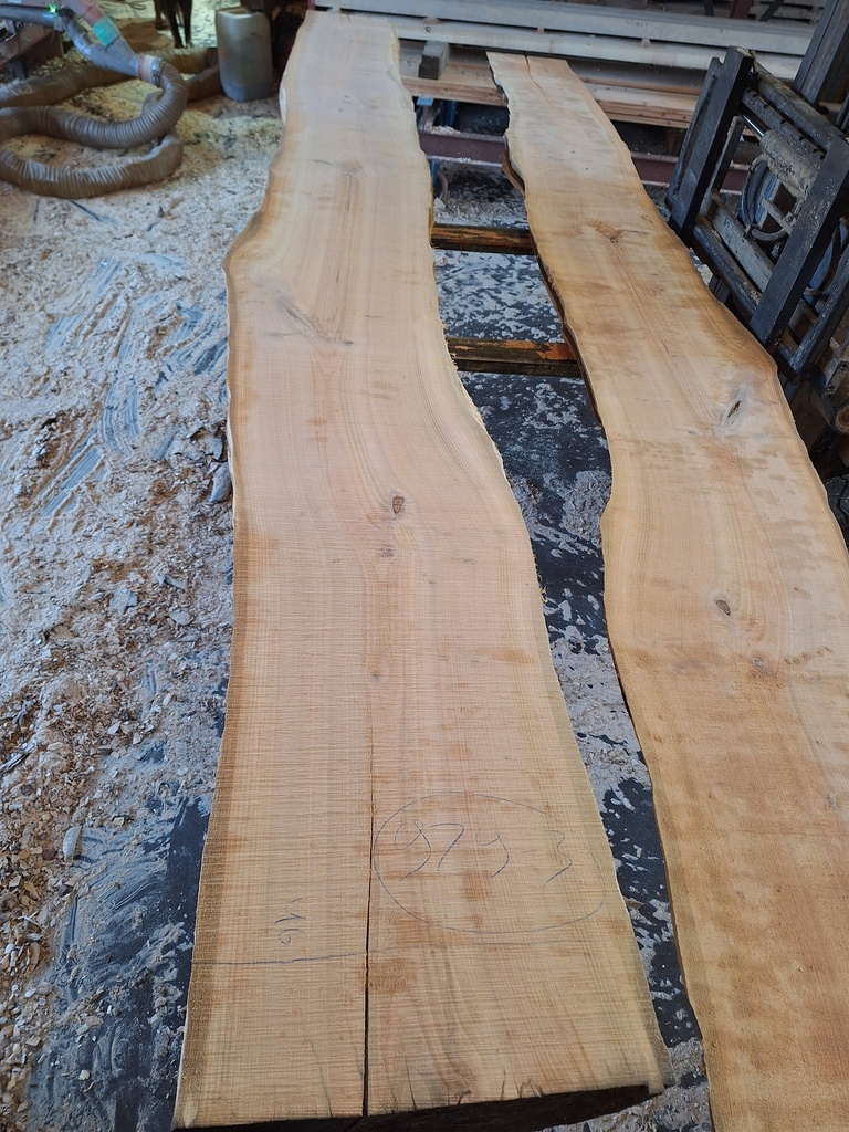 Plateau Merisier 28 x 360-460 x 4050 mm de la boule 979 - 3