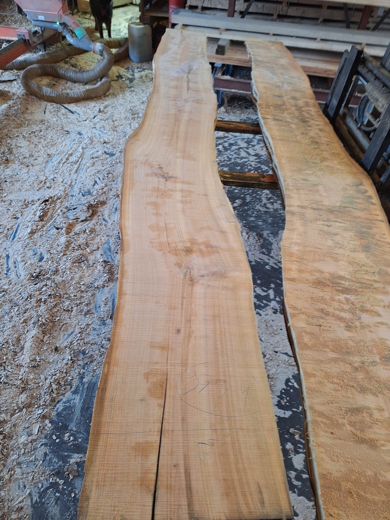 Plateau Merisier 28 x 400-490 x 4050 mm de la boule 979 - 4