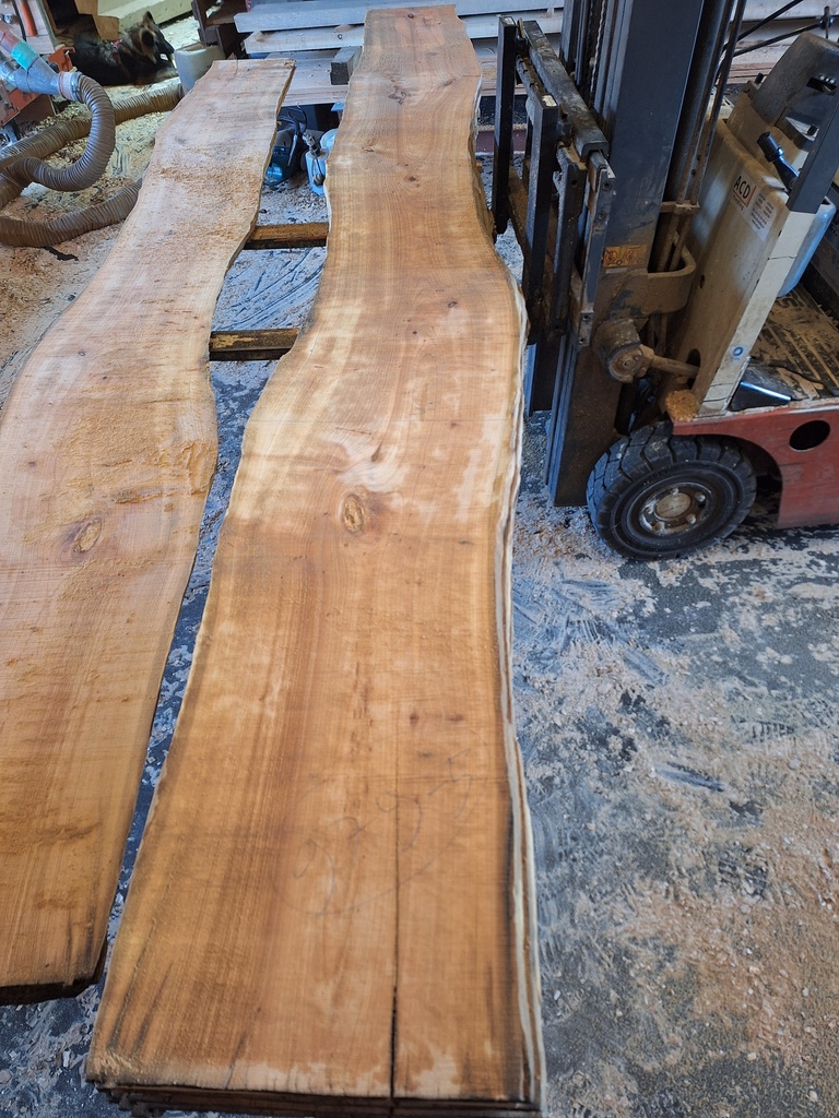 Plateau Merisier 28 x 360-480 x 4050 mm de la boule 979 - 5