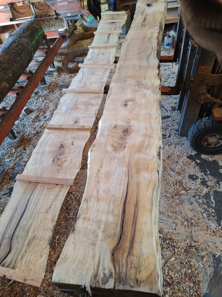 Plateau Hêtre 43 x 330-430 x 3980 mm de la boule 980 - 2