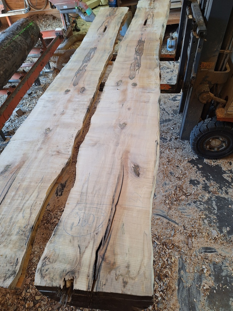 [PL-HET-980-3] Plateau Hêtre 43 x 350-440 x 3980 mm de la boule 980 - 3