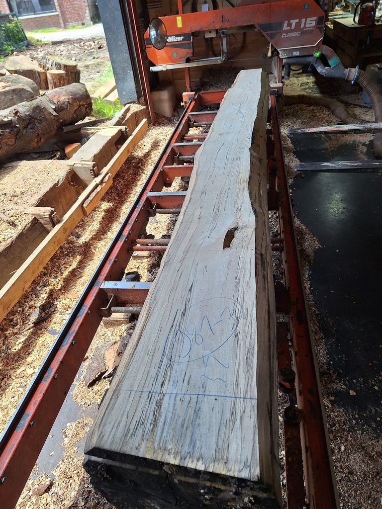 Plateau Hêtre 43 x 220-350 x 3990 mm de la boule 981 - 1