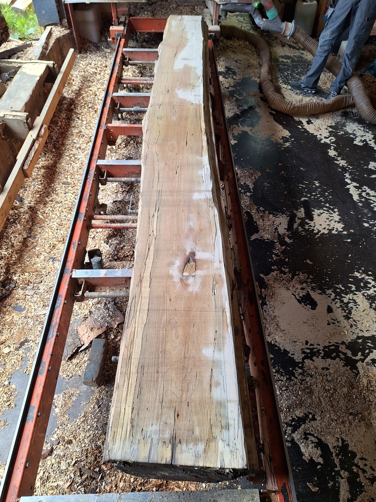 Plateau Hêtre 43 x 310-400 x 3990 mm de la boule 981 - 2