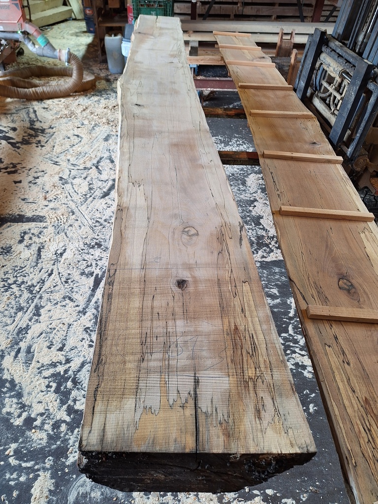 Plateau Hêtre 43 x 380-440 x 3990 mm de la boule 981 - 3