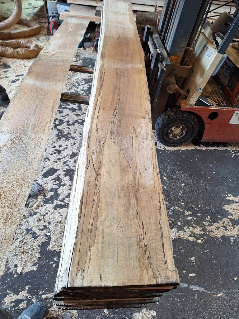 Plateau Hêtre 43 x 380-390 x 3990 mm de la boule 981 - 6