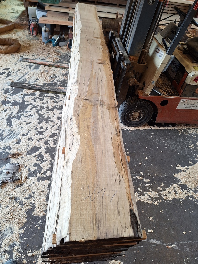 Plateau Hêtre 43 x 270-320 x 3990 mm de la boule 981 - 7