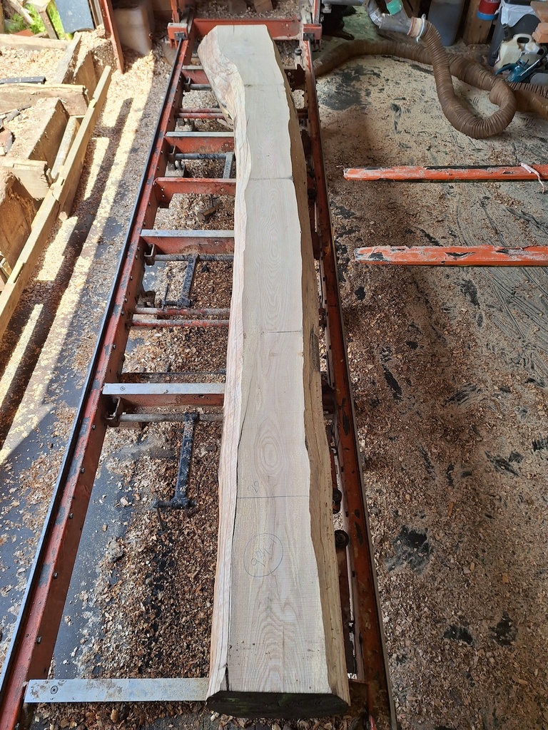 Plateau Frêne 28 x 200-320 x 3950 mm de la boule 984 - 1