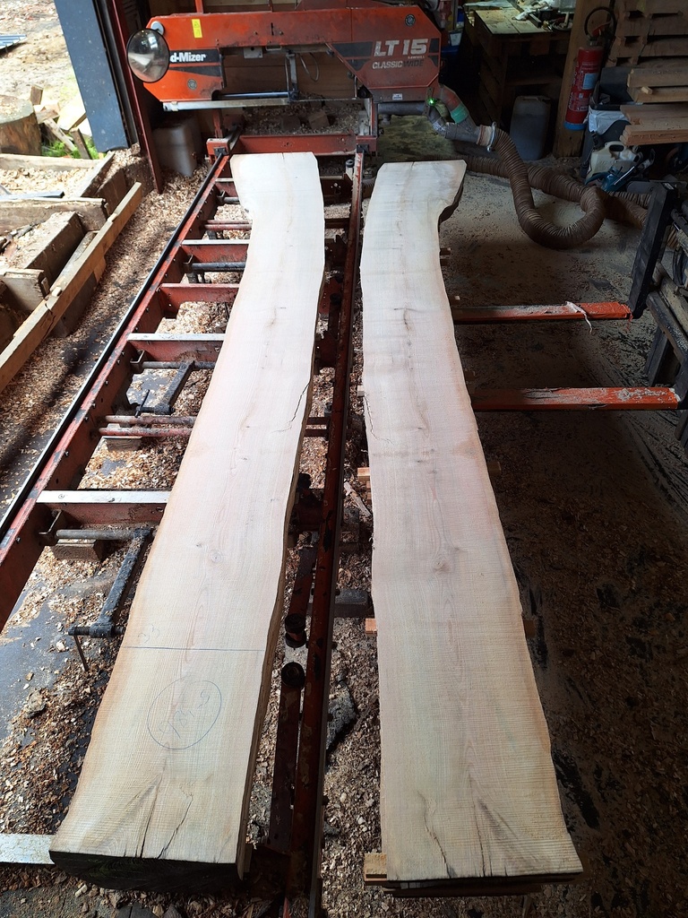 Plateau Frêne 28 x 310-480 x 3950 mm de la boule 984 - 4