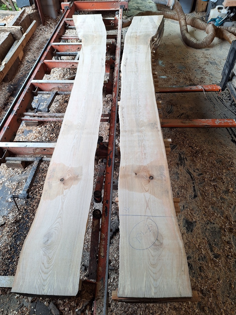 Plateau Frêne 28 x 320-430 x 3950 mm de la boule 984 - 7