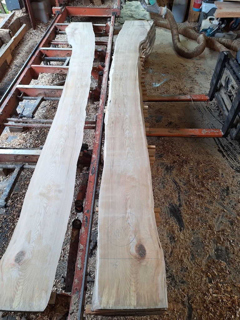 Plateau Frêne 28 x 300-400 x 3950 mm de la boule 984 - 8