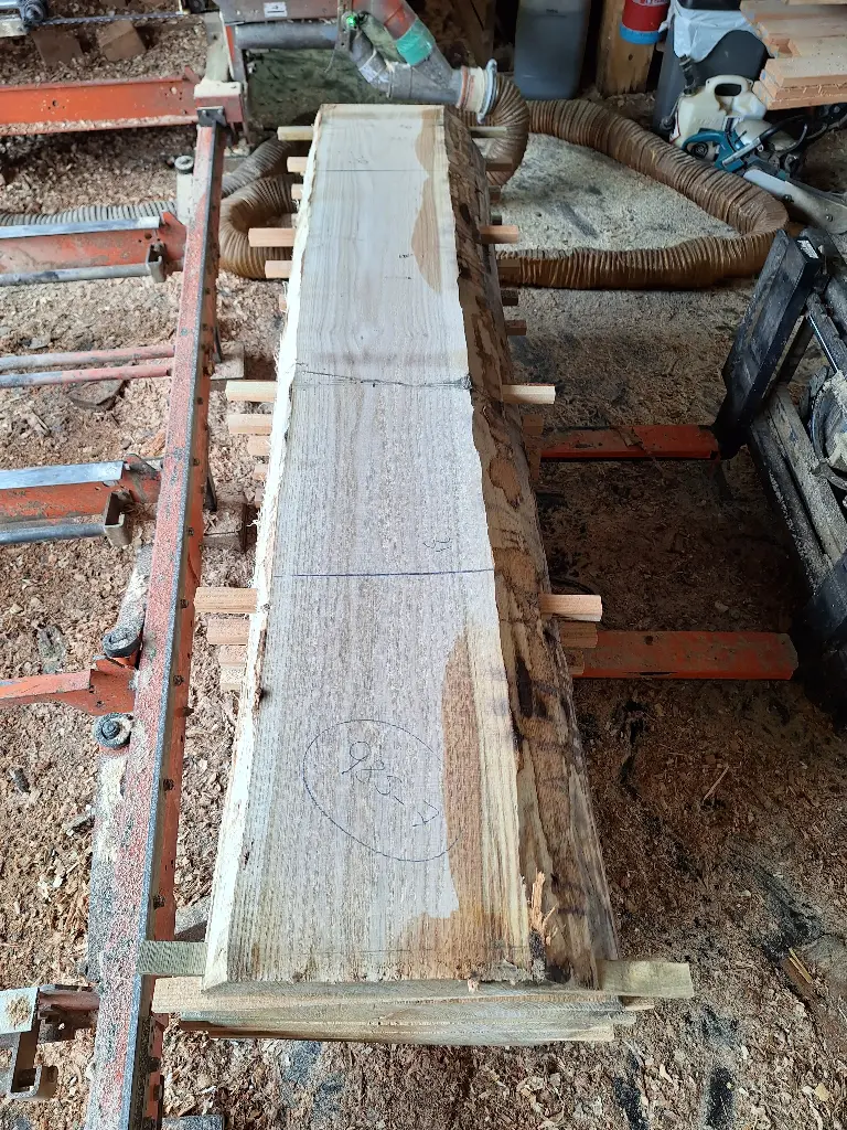 Boule Chêne Rouge - 985