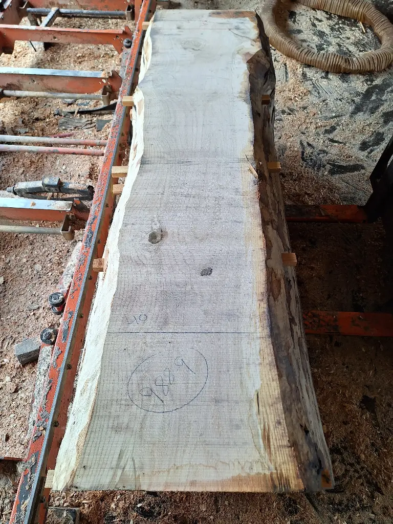 Boule Chêne Rouge - 988