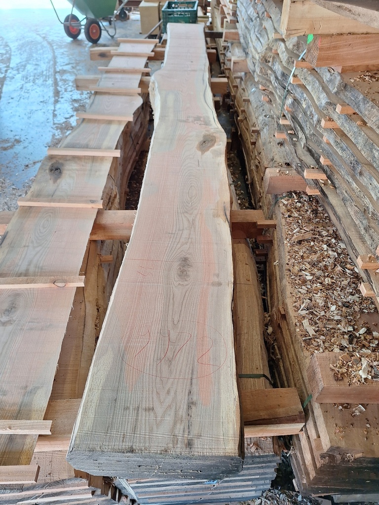 Plateau Frêne 28 x 310-350 x 4100 mm de la boule 997 - 2