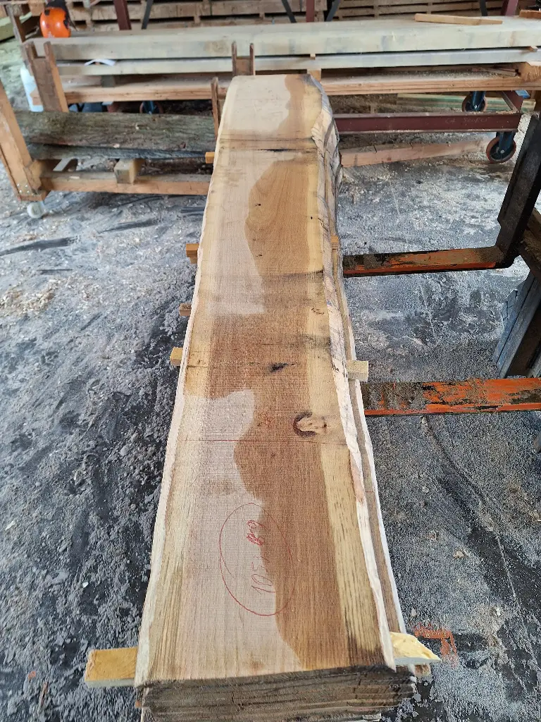 Boule Chêne Rouge - 1053