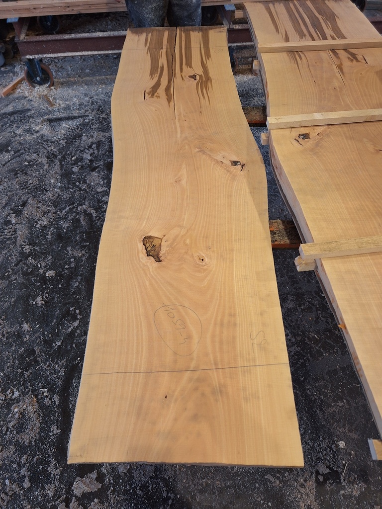 [PL-HET-1059-4] Plateau Hêtre 43 x 520-530 x 2050 mm de la boule 1059 - 4