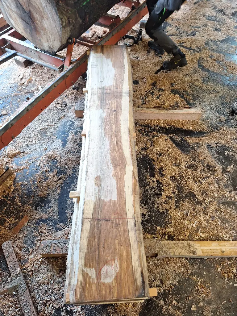 Boule Chêne Rouge - 1063