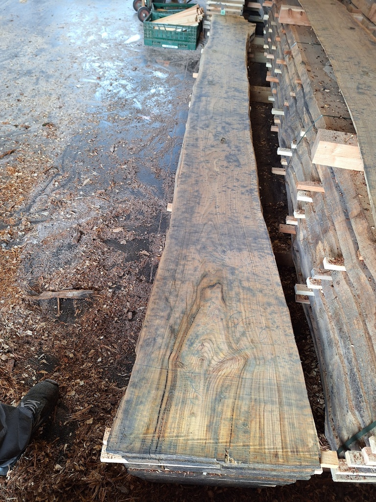 Plateau Chataigner 28 x 320-500 x 4080 mm de la boule 1066 - 6