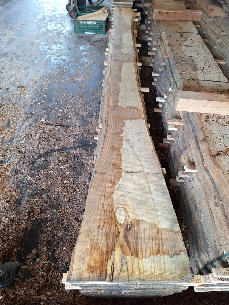 Plateau Chataigner 28 x 240-490 x 4080 mm de la boule 1066 - 8