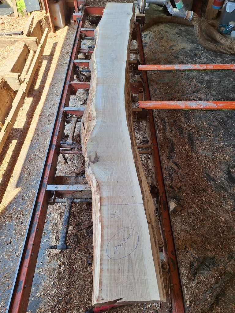 Plateau Chêne Commun 43 x 270-420 x 4030 mm de la boule 1068 - 1