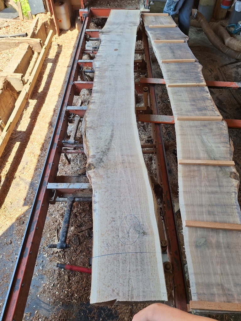 Plateau Chêne Commun 43 x 380-470 x 4030 mm de la boule 1068 - 3