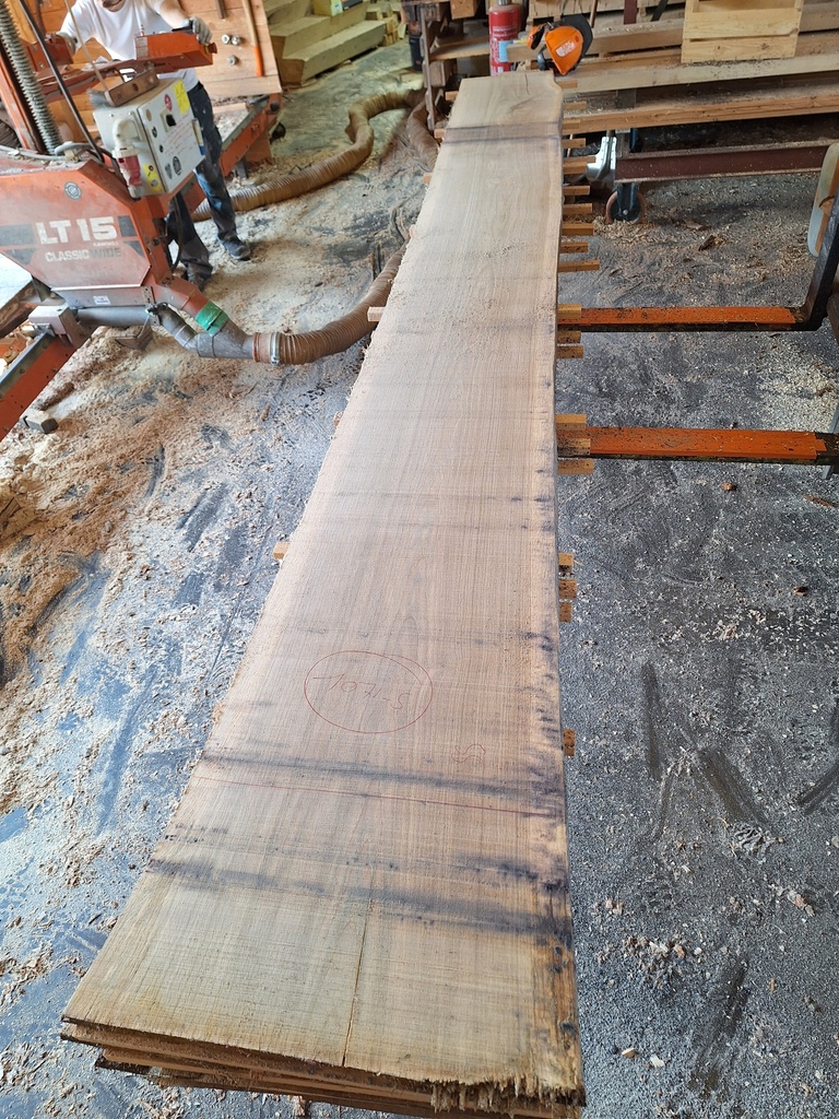 Plateau Chêne Commun 43 x 440-550 x 3800 mm de la boule 1071 - 5