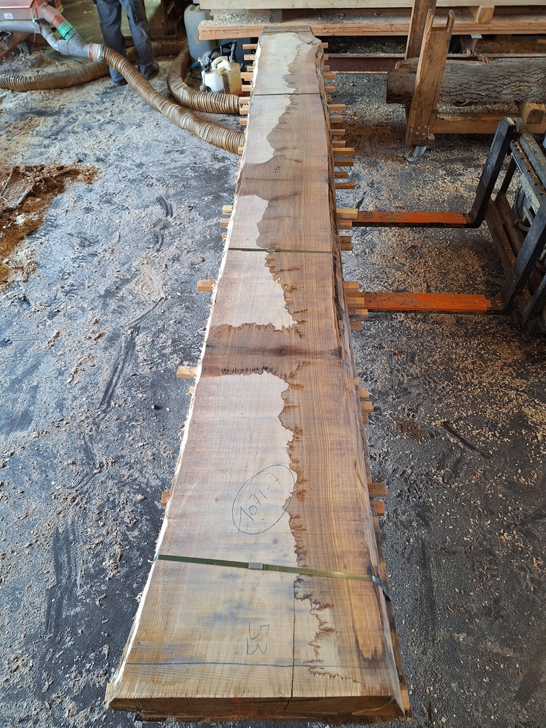 Plateau Chêne Commun 43 x 340-530 x 3800 mm de la boule 1071 - 7