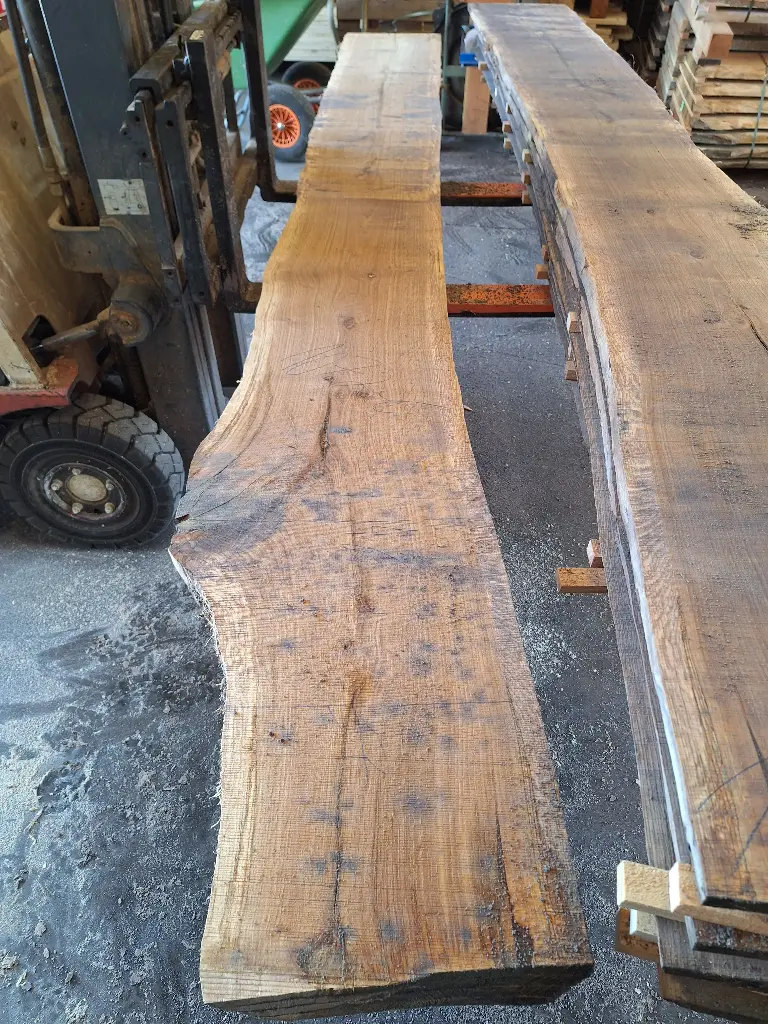 [BL-CHE-1072] Boule Chêne Commun - 1072