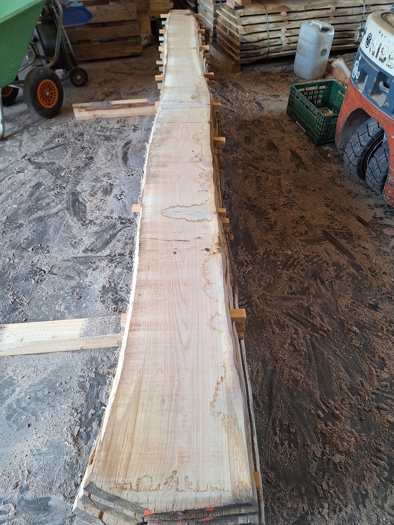 Plateau Chêne Commun 28 x 210-310 x 4030 mm de la boule 1073 - 9