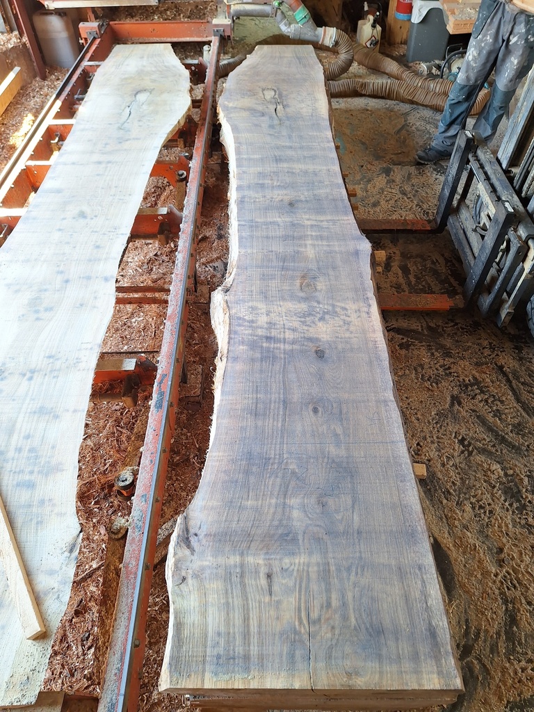 Plateau Chêne Commun 63 x 540-630 x 4110 mm de la boule 1075 - 5