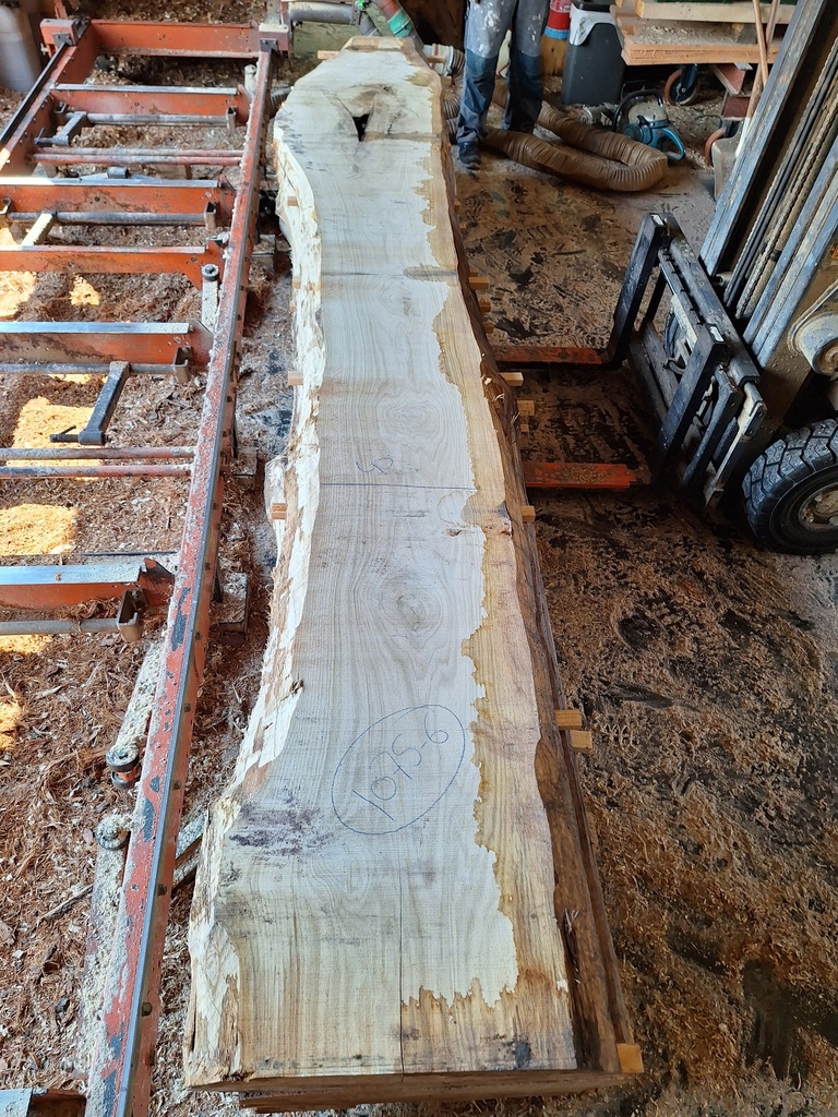 Plateau Chêne Commun 63 x 400-590 x 4110 mm de la boule 1075 - 6