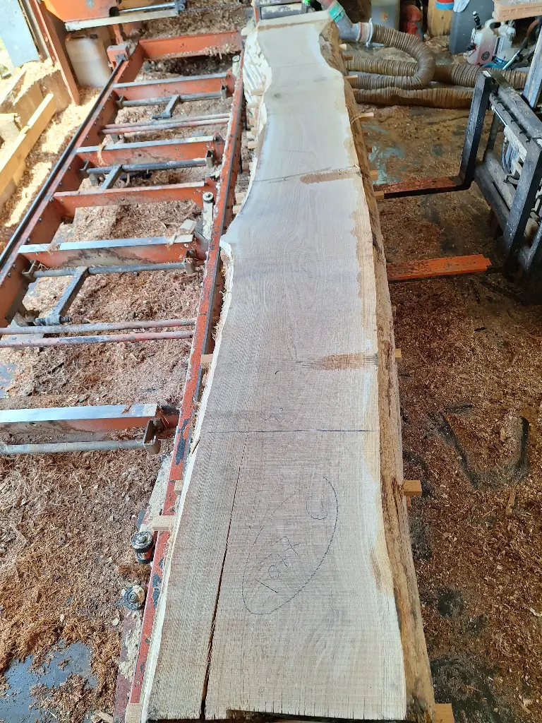 Boule Chêne Commun - 1077