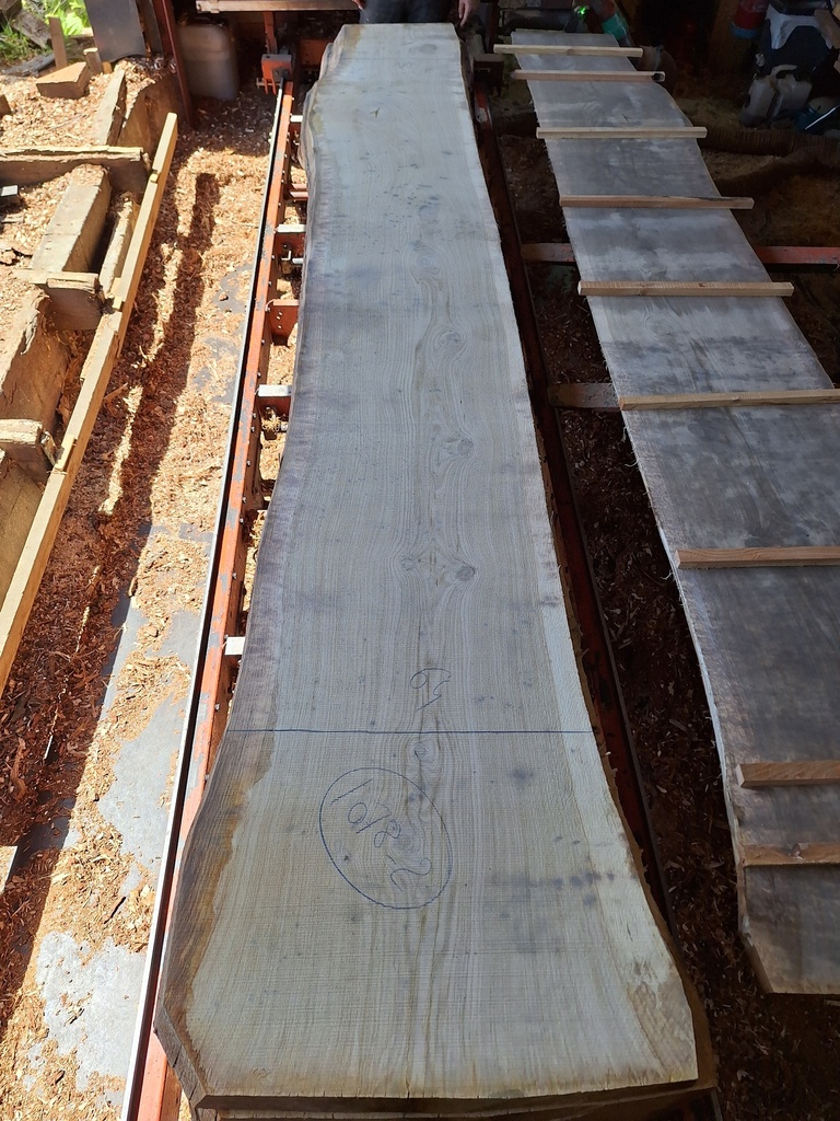 Plateau Chêne Commun 63 x 480-640 x 3860 mm de la boule 1078 - 2