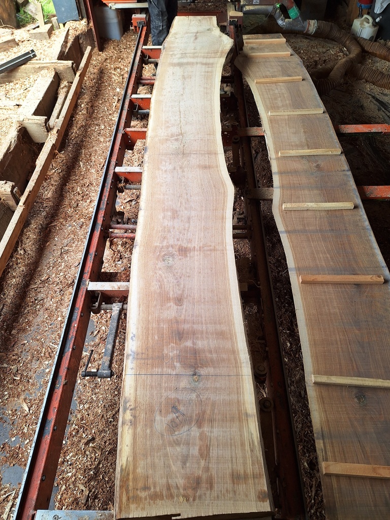 Plateau Chêne Commun 43 x 420-470 x 4000 mm de la boule 1079 - 2