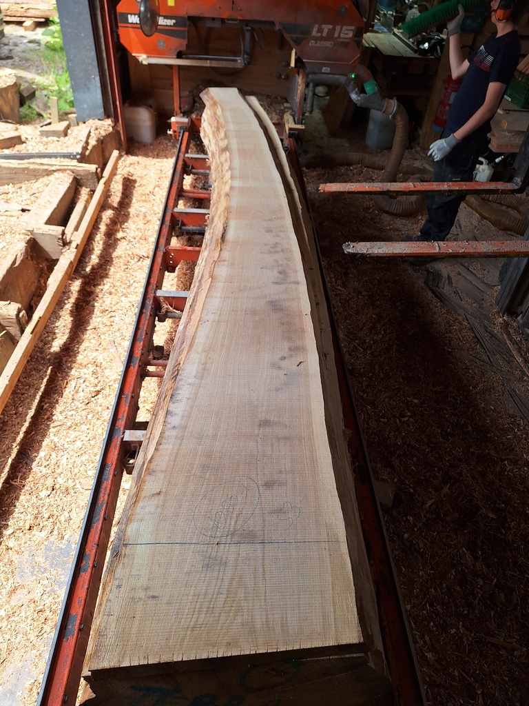 Plateau Chêne Commun 53 x 220-530 x 4150 mm de la boule 1080 - 1