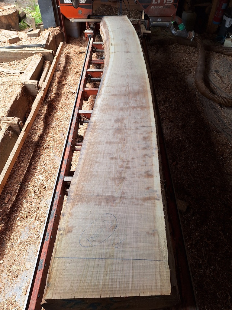 Plateau Chêne Commun 53 x 420-620 x 4150 mm de la boule 1080 - 3