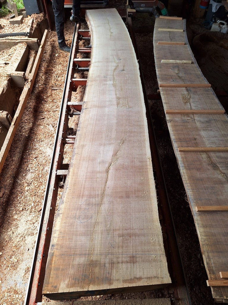 Plateau Chêne Commun 53 x 510-700 x 4150 mm de la boule 1080 - 5