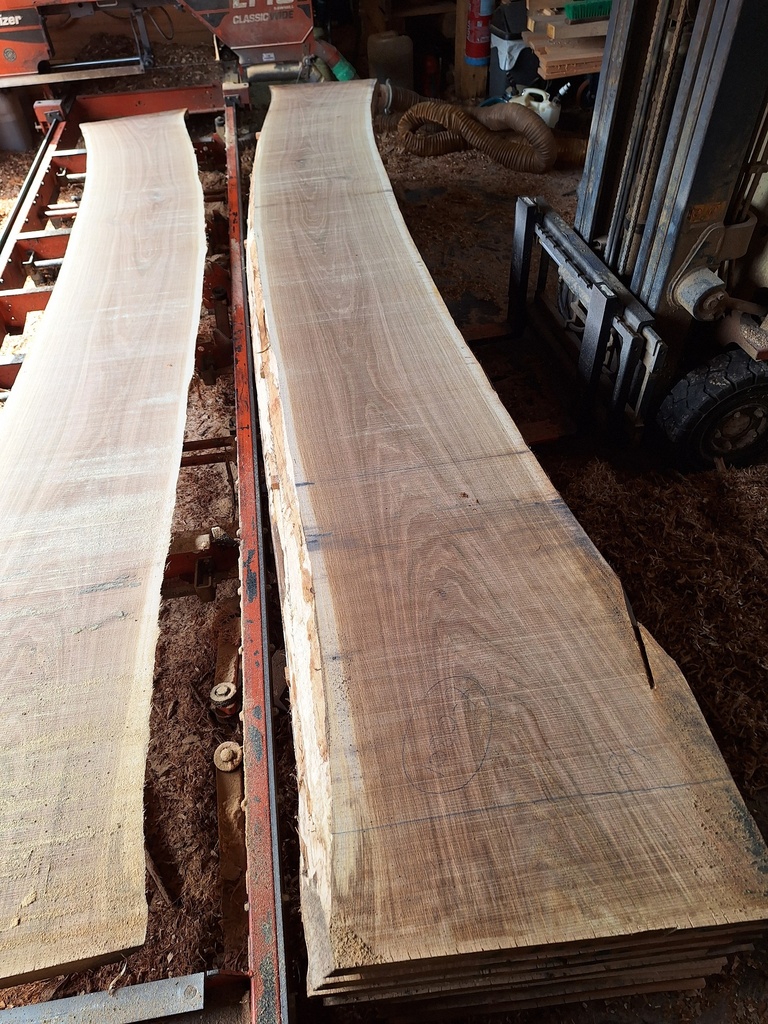 Plateau Chêne Commun 53 x 510-640 x 4150 mm de la boule 1080 - 7