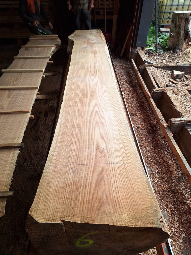 Plateau Chêne Rouge 63 x 520-660 x 4000 mm de la boule 1433 - 3