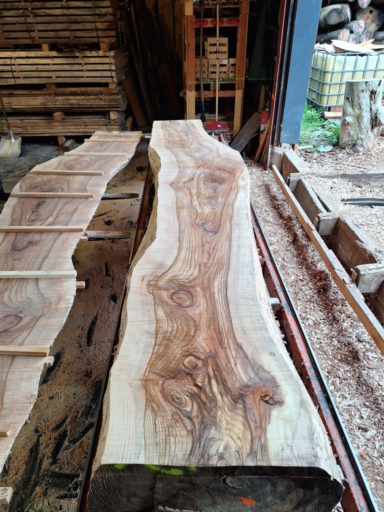 Plateau Frêne 53 x 550-710 x 4090 mm de la boule 1434 - 3