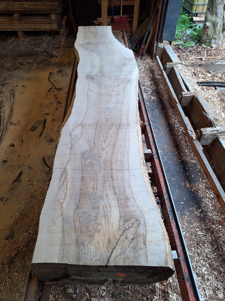 Plateau Frêne 53 x 590-730 x 4090 mm de la boule 1434 - 4