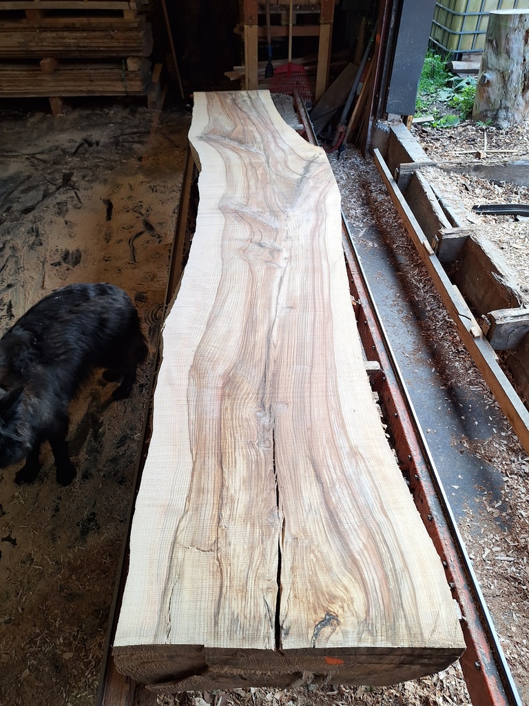 Plateau Frêne 53 x 600-720 x 4090 mm de la boule 1434 - 5