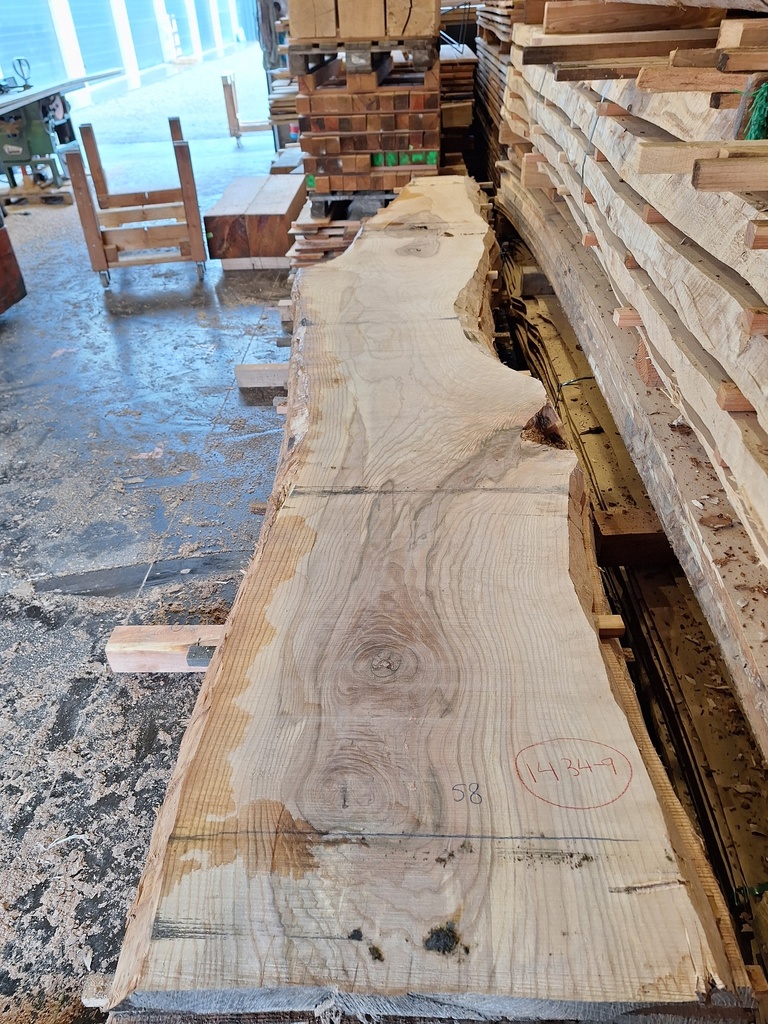 Plateau Frêne 53 x 410-580 x 4090 mm de la boule 1434 - 9