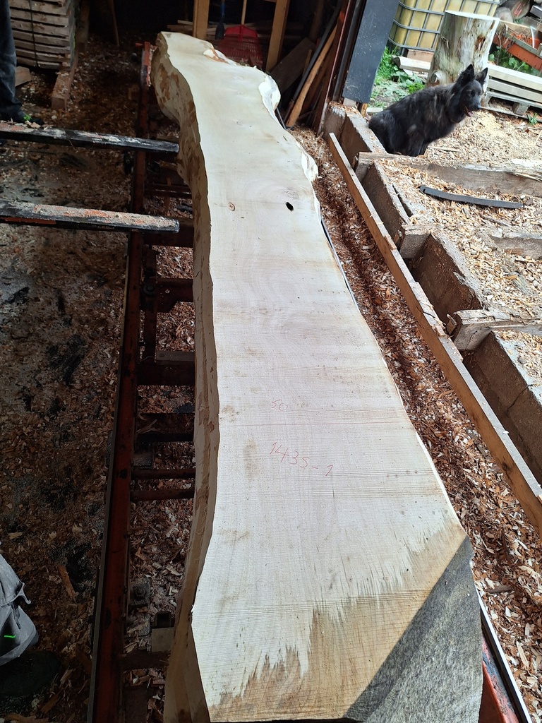 Plateau Tilleul 43 x 210-500 x 4020 mm de la boule 1435 - 1