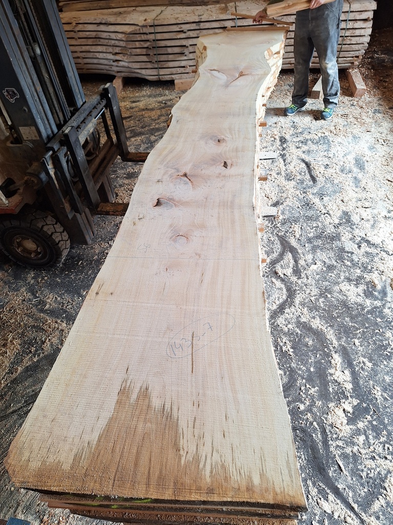 Plateau Tilleul 43 x 560-640 x 4020 mm de la boule 1435 - 7