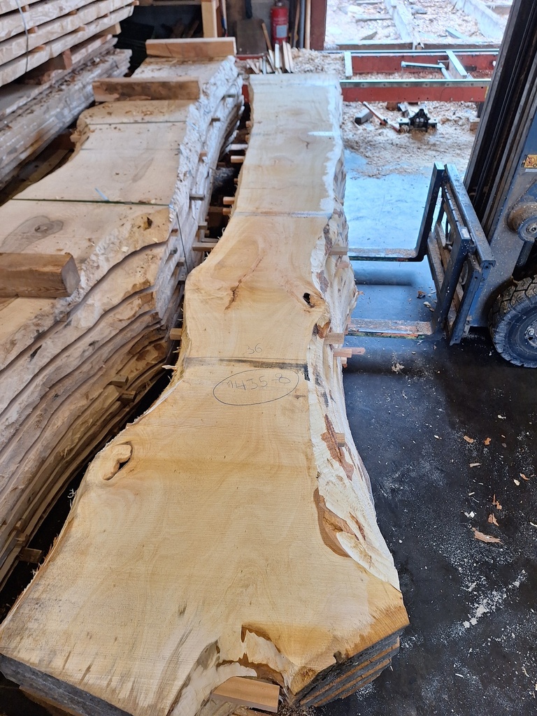 Plateau Tilleul 43 x 360-560 x 4020 mm de la boule 1435 - 8