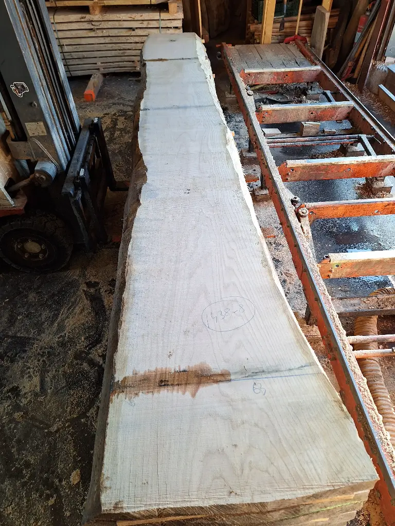 Boule Chêne Rouge - 1438