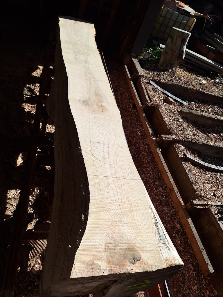 Plateau Frêne 53 x 380-530 x 4040 mm de la boule 1439 - 1