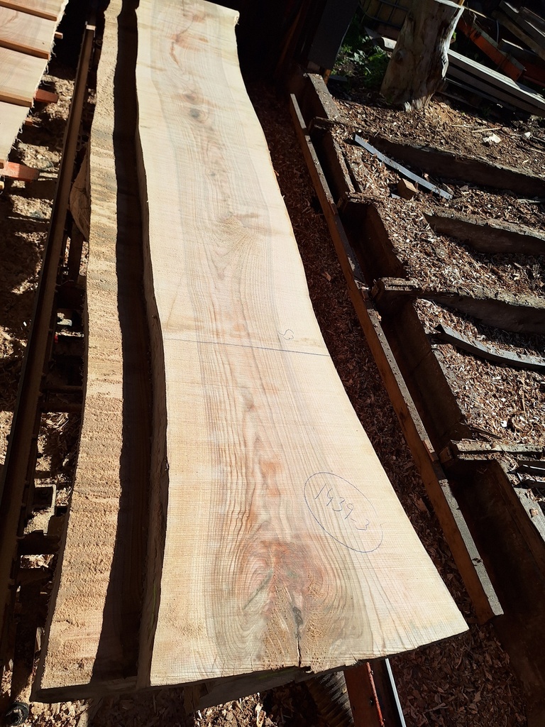 Plateau Frêne 53 x 530-610 x 4040 mm de la boule 1439 - 3